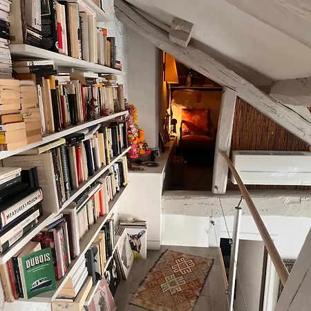 Typical Parisian Loft In Bastille باريس