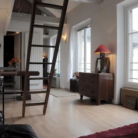 Typical Parisian Loft In Bastille شقة