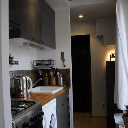 شقة Typical Parisian Loft In Bastille *