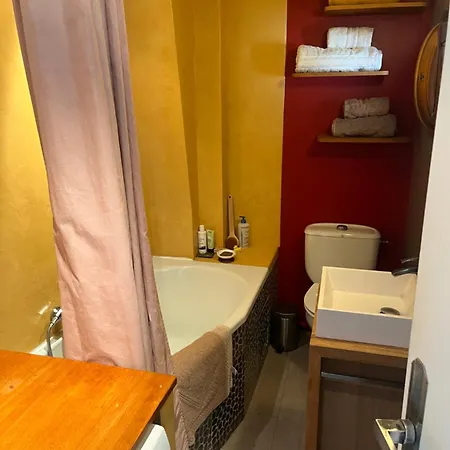 Typical Parisian Loft In Bastille شقة باريس